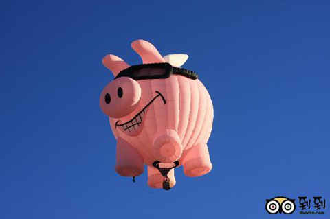 pig-hot-air-balloon.jpg