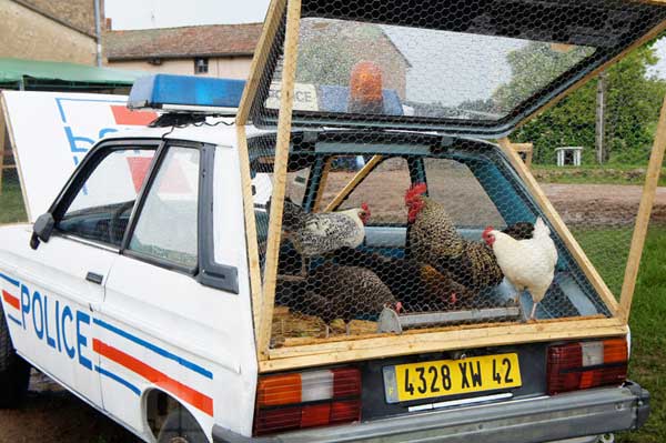 Car Chicken Coops