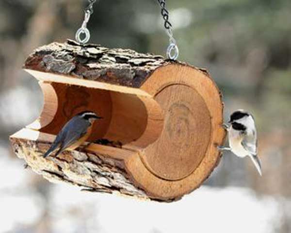 bird-feeder