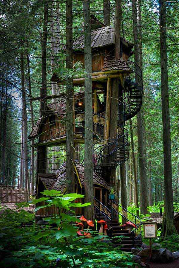 amazing-treehouses-1