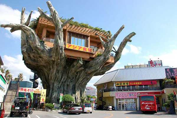 Banyan S Restaurant Las Olas Blvd Photo Banyan S Restaurant Las Olas Blvd Photo