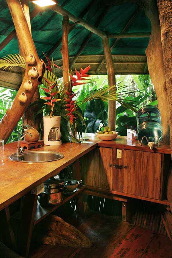 kitchen outdoor designs tree bar cool tropical enjoy homes outside kitchens backyard modern rica costa spare let rustic digsdigs houses