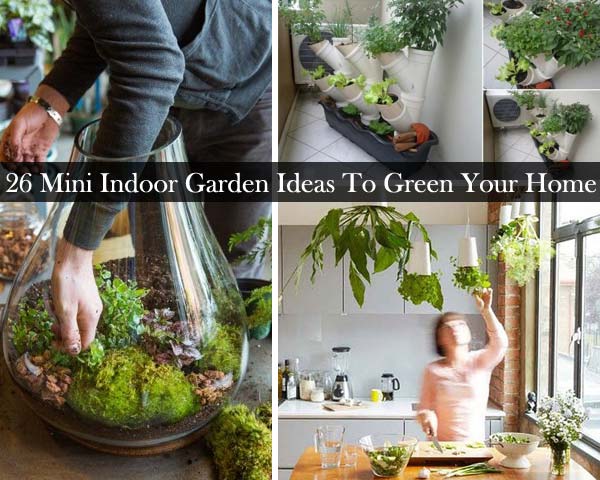 26 Mini Indoor Garden Ideas to Green Your Home  Amazing DIY, Interior u0026 Home Design