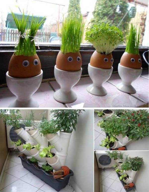 26 Mini Indoor Garden Ideas to Green Your Home  Amazing DIY, Interior u0026 Home Design