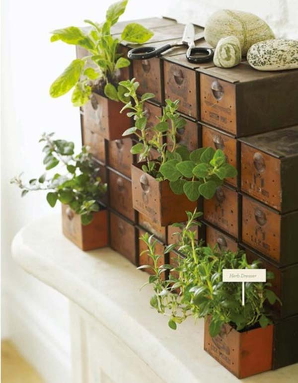 indoor mini gardening diy interior herb inside gardens indoors plant growing planting plants idea herbs grow planter space tiny outside