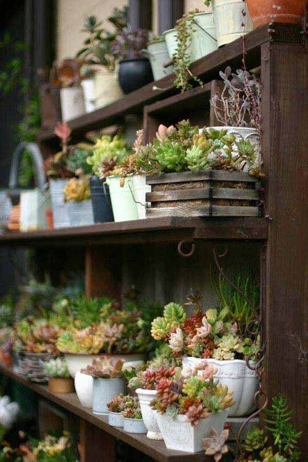 26 Mini Indoor Garden Ideas to Green Your Home - Amazing DIY, Interior