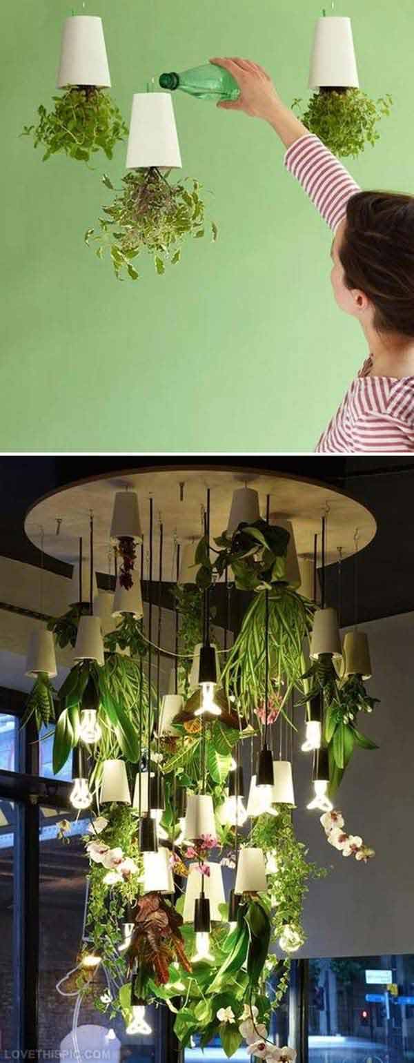 26 Mini Indoor Garden Ideas to Green Your Home - Amazing DIY, Interior