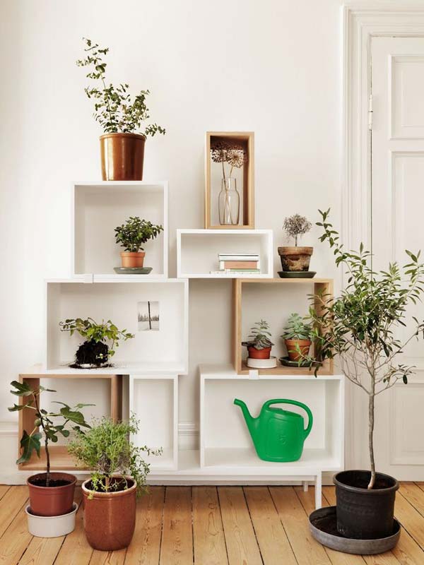26 Mini Indoor Garden Ideas to Green Your Home - Amazing DIY, Interior