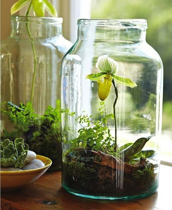 26 Mini Indoor Garden Ideas to Green Your Home