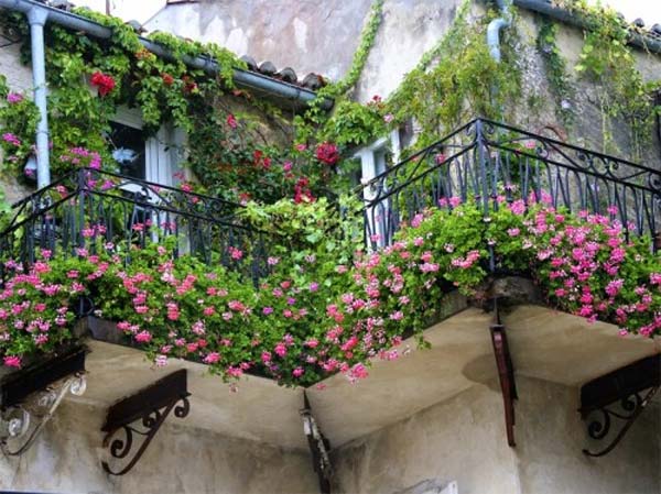 Small-Balcony-Garden-ideas-20