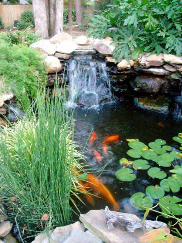 35 Impressive Backyard Ponds and Water Gardens - Amazing ...