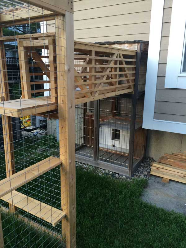 Awesome Outdoor Cats Walkway and House - Amazing DIY, Interior & Home