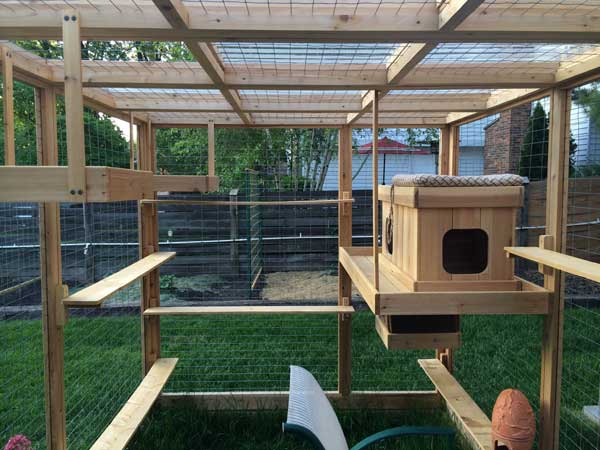 Awesome Outdoor Cats Walkway and House - Amazing DIY 