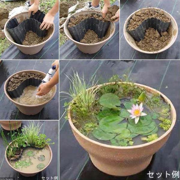 21 Fascinating Low-Budget DIY Mini Ponds In a Pot ...