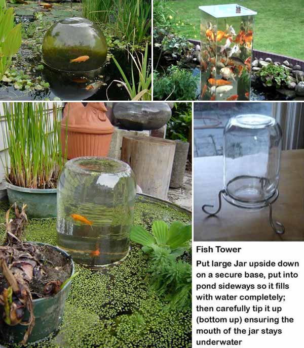 outdoor-fish-tank-pond-woohome-10