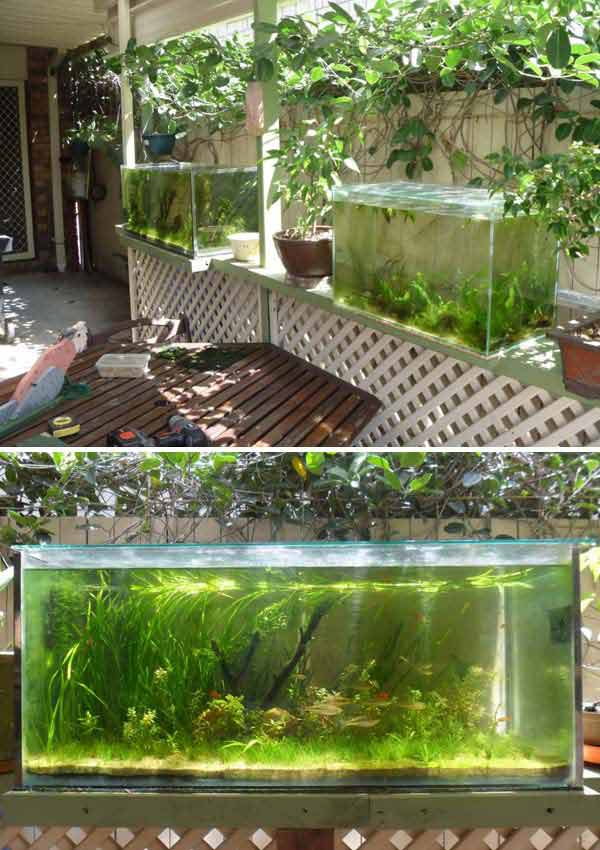 outdoor-fish-tank-pond-woohome-12