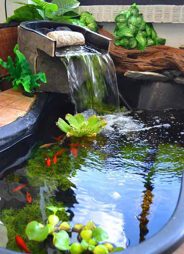 22 Small Garden or Backyard Aquarium Ideas Will Blow Your ...