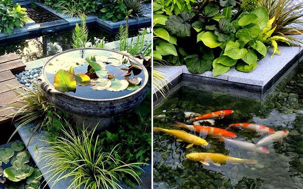 outdoor-fish-tank-pond-woohome-16