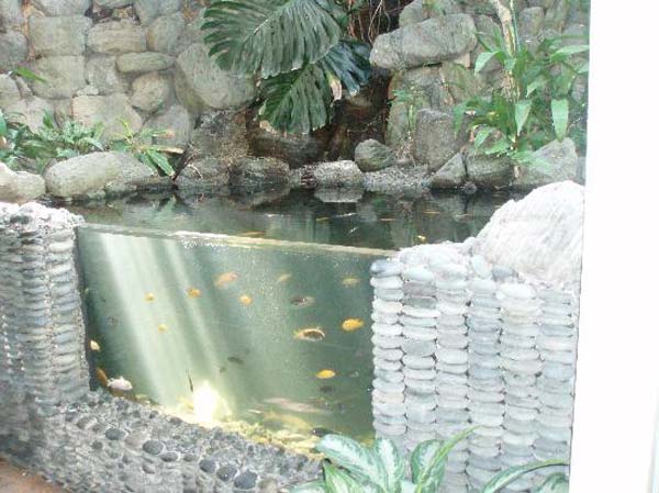 outdoor-fish-tank-pond-woohome-19