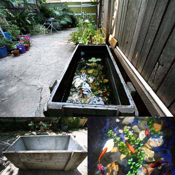 outdoor-fish-tank-pond-woohome-20