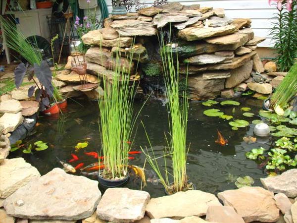 outdoor-fish-tank-pond-woohome-21