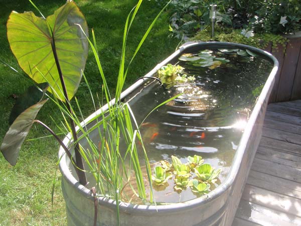 outdoor-fish-tank-pond-woohome-5