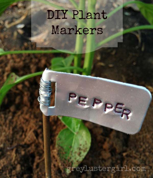 19 Cute and No-money Ideas to Label the Garden Plants - Amazing DIY