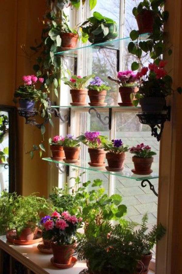 Top 24 Awesome Ideas to Display Your Indoor Mini Garden ...