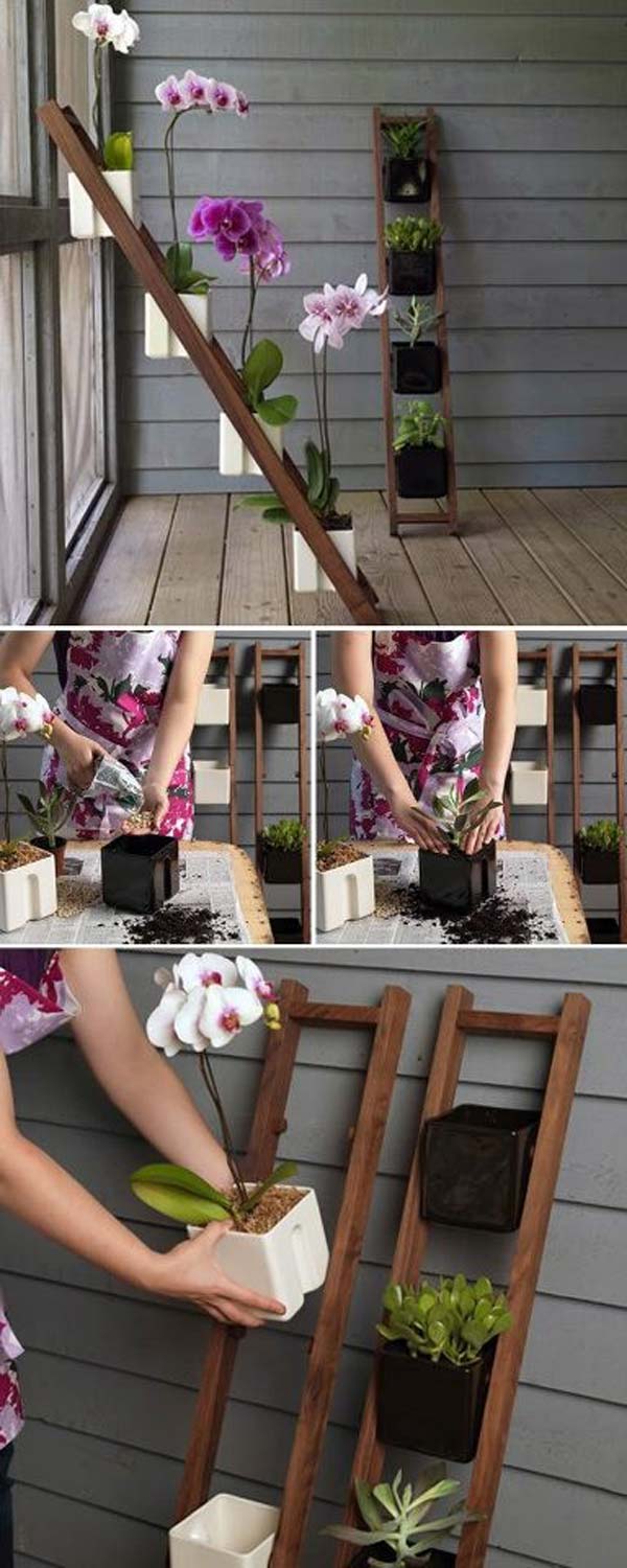 Top 24 Awesome Ideas to Display Your Indoor Mini Garden - Amazing DIY