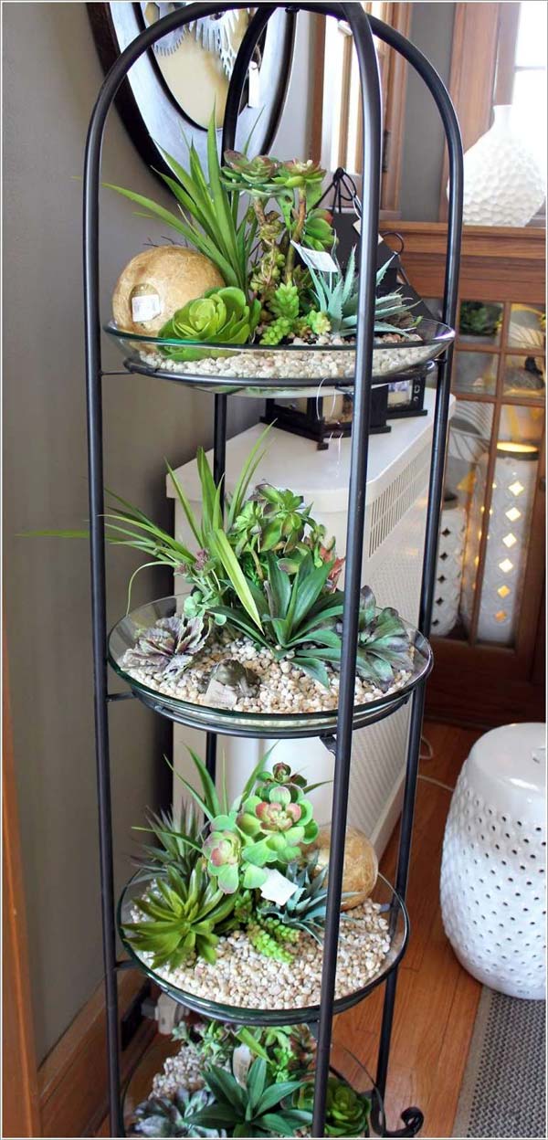 Top 24 Awesome Ideas to Display Your Indoor Mini Garden ...