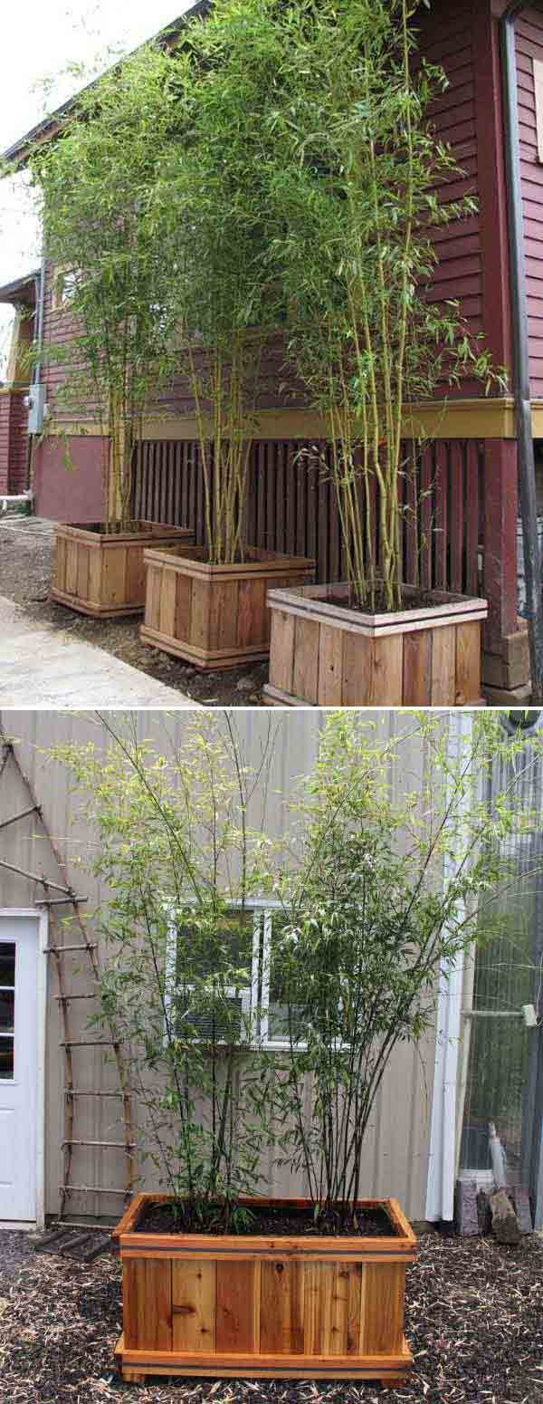 Top 21 Easy And Attractive DIY Projects Using Bamboo Amazing DIY