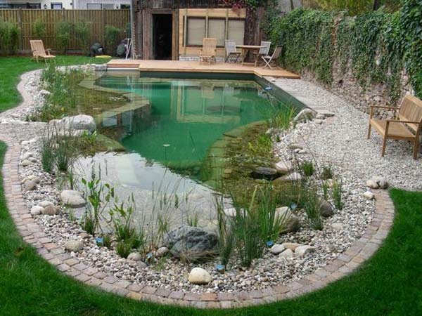 24 Backyard Natural Pools You Want To Have Them ...