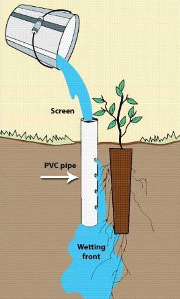 Top 20 Low-Cost DIY Gardening Projects Made With PVC Pipes - Bio Prepper