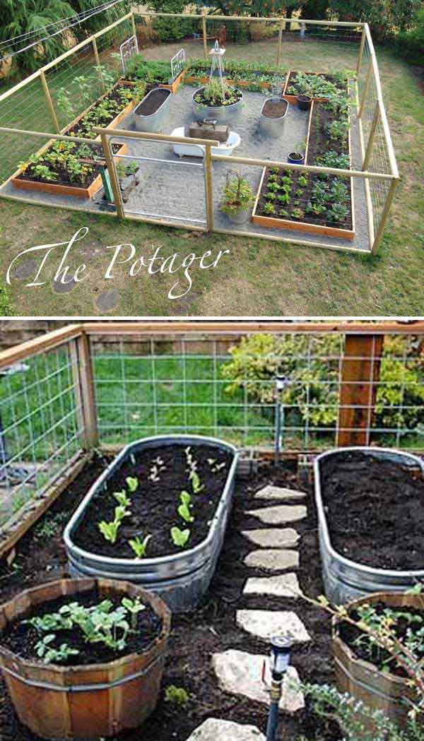 22 Ways For Growing A Successful Vegetable Garden Amazing Diy