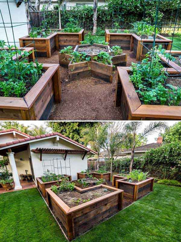 22 Ways for Growing a Successful Vegetable Garden