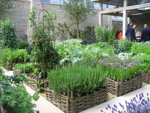 22 Ways for Growing a Successful Vegetable Garden - Amazing DIY
