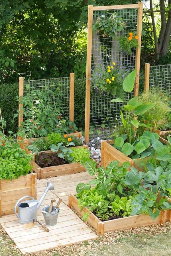 22 Ways for Growing a Successful Vegetable Garden ...