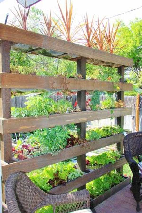 Add Privacy to Your Garden or Yard with Plants - Amazing DIY, Interior