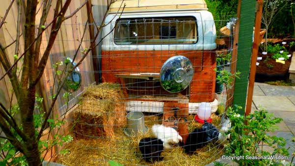 a-mobile-chicken-coop-that-travels-wherever-your-VW-bus-drives