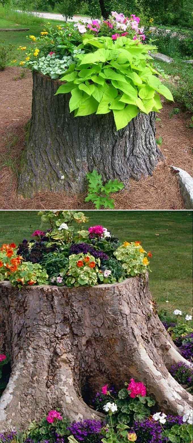 How to Make a Tree Stump Planter (Lots of Creative Ideas