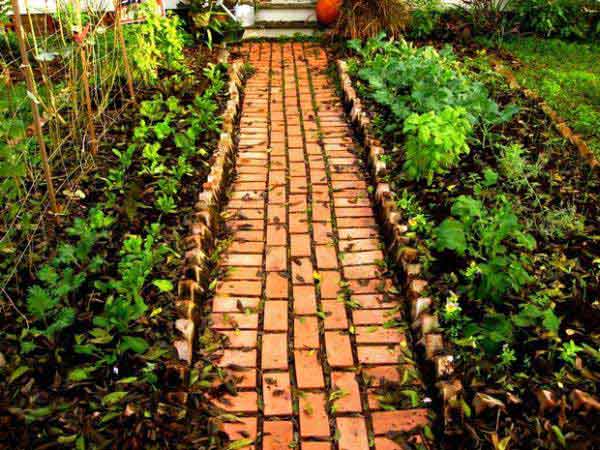 garden-walkway-ideas-24