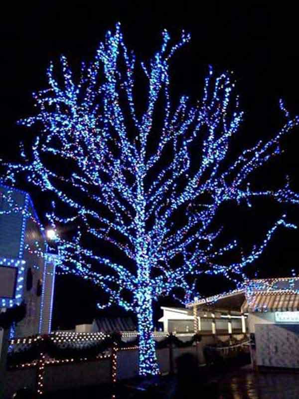 Outdoor-Christmas-Lighting-Decorations-42