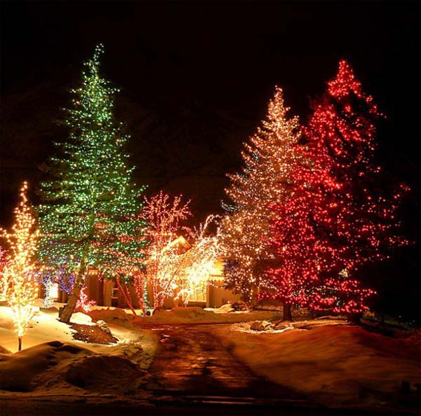 Top 46 Outdoor Christmas Lighting Ideas Illuminate The Holiday Spirit ...