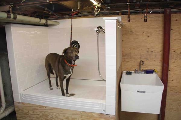 pet-bathroom-ideas-woohome-10