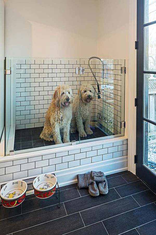 pet-bathroom-ideas-woohome-15