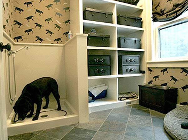 pet-bathroom-ideas-woohome-6