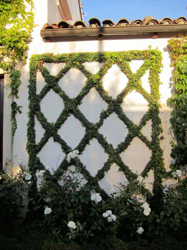 garden-fence-decor-woohome-23-2