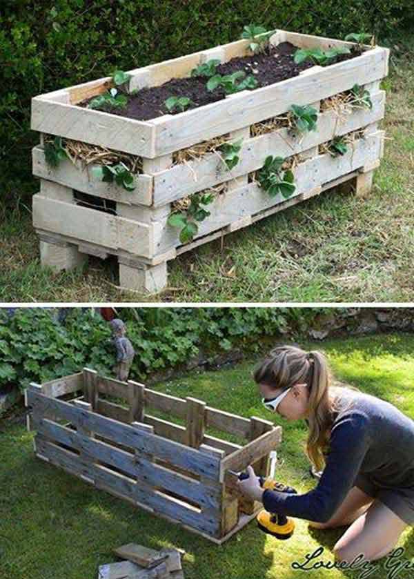 gardening-tips-woohome-1