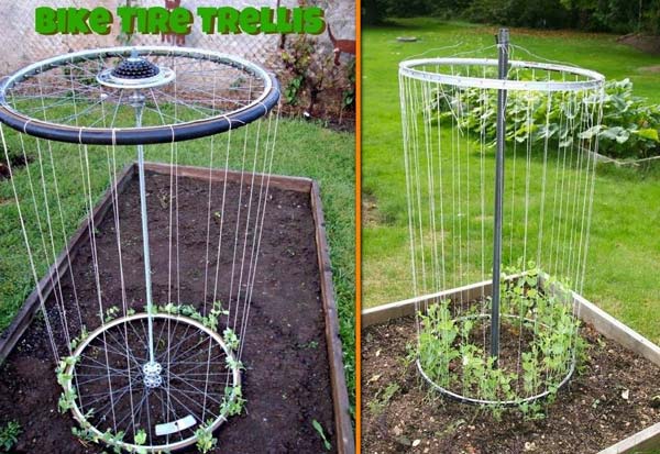 gardening-tips-woohome-11