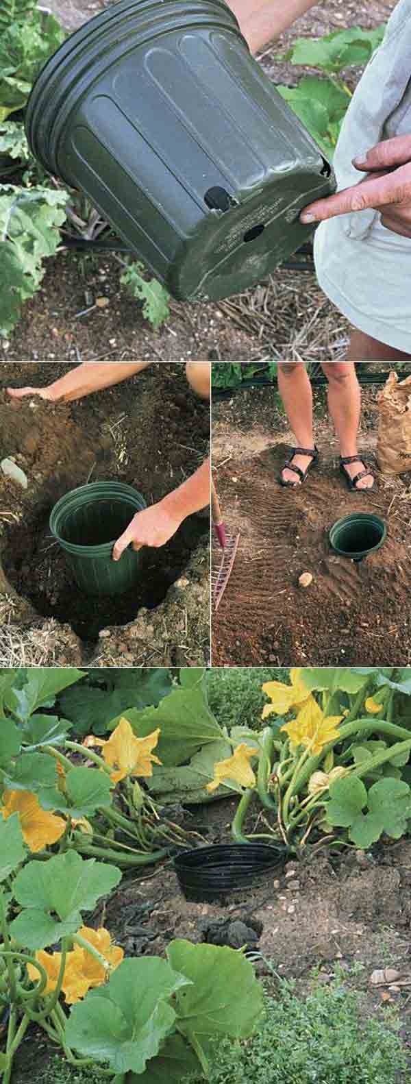 gardening-tips-woohome-14